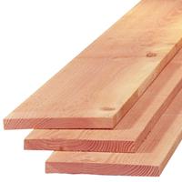 TrendHout Plank lariks douglas 2,2 x 20,0 cm (3,00 mtr) gezaagd