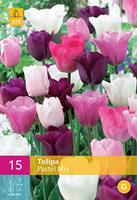 Tulp pastel mix 15 bollen