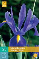 Iris hollandica blauw 25 bollen