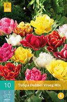 Tulp Double early mix 10 bollen