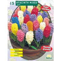 Baltus Hyacinth Mix per 15