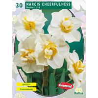 Baltus Narcis Cheerfulness, Wit per 25