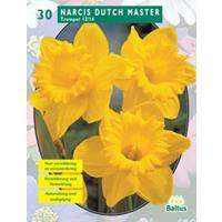 Narcis Trompet geel per 30 bloembollen Baltus