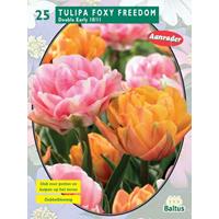 Baltus Tulipa Foxy Freedom per 25