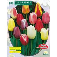 Baltus Tulipa Darwin Mix in gaasbaal 12/+ per 100
