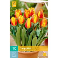 Tulpen Flair 10 stuks