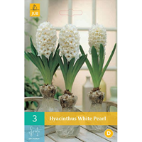 Hyacint voor glas white pearl 3 bollen
