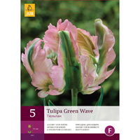 Tulp Green Wave 5 bollen