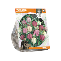 Baltus Fritillaria Meleagris Mixed per 10