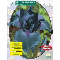 Baltus Iris Germanica Donkerblauw per 3