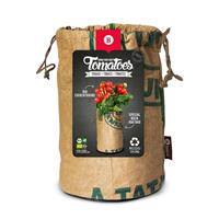 Seeds en Tomato bio zuckertraube