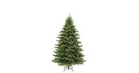 Triumph Tree Sherwood Spruce de Luxe Green 230