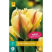Tom-Garten Viridiflora-Tulpe Golden Artist