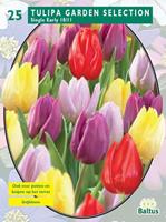 baltus Tulipa Garden Selection per 25