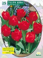baltus Tulipa Dubbel Vroeg Abba per 25