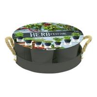 baltusbloembollen Baltus Herb Festival Grijs per 7 giftbox