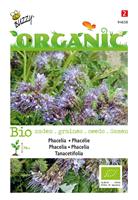 buzzy Organic Phacelia (BIO)