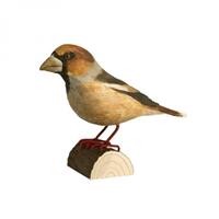 DecoBird - Appelvink