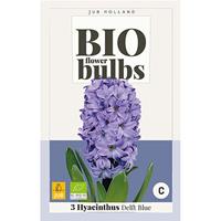 Bio hyacint delft blue 3 bollen