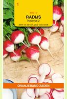 Oranjeband Radijs National 2 Raphanus sativus - Radijs - 10 gram