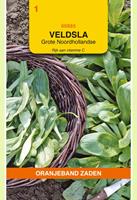 Oranjeband Veldsla Grote Noordhollandse Valerianella locusta - Sla - 5 gram