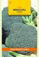 Oranjeband Broccoli Calabria Brassica oleracea - Broccoli - 1 g