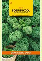 Oranjeband Boerenkool Westlandse herfst Brassica oleracea - Kool - 3 gram