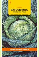 Oranjeband Savooiekool Putjes Brassica oleracea - Kool - 5 gram