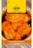 Oranjeband Peper Habanero Oranje Capsicum chinense - Peper - 0,07 gram