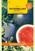 Oranjeband Watermeloen Red star F1 Citrullus lanatus - Fruitzaden - 5 gram