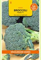 Oranjeband Broccoli Fiesta F1 Brassica oleracea - Broccoli - 0,3 gram