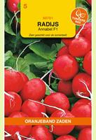 Oranjeband Radijs Annabel F1 Raphanus sativus - Radijs - 5,26 gram