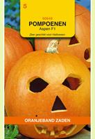 Oranjeband Pompoenen Aspen F1 Cucurbita pepo - Kalebas/Pompoen - 1 g
