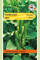 Oranjeband Tuinbonen Listra Vicia faba - Peulvruchten - 100 gram