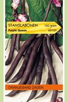 Oranjeband Stamslabonen Purple Queen Phaseolus vulgaris L. - Sla- of sperziebonen - 100 gram