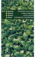 Hortitops Spinazie Spinacia oleracea Breedblad Zomer Scherp Zaad 250 Gram - Spinazie - 250 gram
