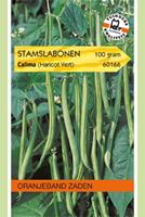 Oranjeband Stamslabonen Haricots Vert Phaseolus vulgaris L. - Sla- of sperziebonen - 100 gram