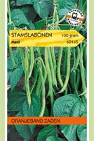 Oranjeband Stamslabonen Maxi Phaseolus vulgaris L. - Sla- of sperziebonen - 100 gram