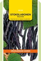 Oranjeband Stokspekbonen Blauhilde Phaseolus vulgaris L. - Sla- of sperziebonen - 100 gram