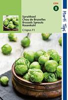 Hortitops Spruitkool Crispus F1 Brassica oleracea - Kool - 0,12 gram
