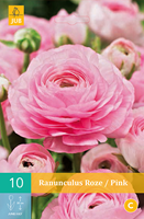 Tuinland Ranonkel Bloembollen Ranunculus Roze 10 stuks