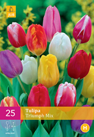 Tom-Garten Triumph-Tulpen Mix