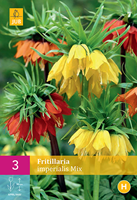 Tuinland Keizerskronen Bloembollen Fritillaria Imperialis Mix 3 Stuks