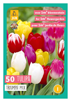 Tuinland Tulipa Triumh Tulpenmix 50X