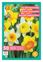 Tuinland Narcissenmix 'Narcissus Grootkronig' 40X