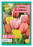 Tuinland Tulpenmix bloembollen 'Tulipa Darwin Hybride' 50 Stuks