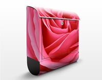 Klebefieber Briefkasten Lustful Pink Rose