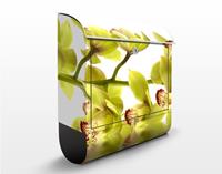 Klebefieber Briefkasten Splendid Orchid Waters