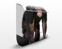 Klebefieber Briefkasten Aufmerksamer Affe