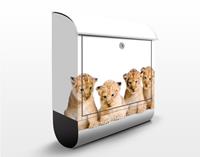 Klebefieber Briefkasten Sweet Lion Babys